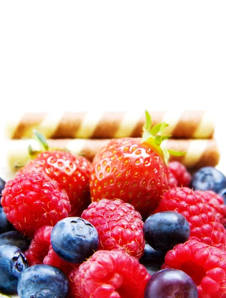 라즈베리와 딸기 — 스톡 사진