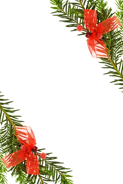 Weihnachtsbordüre mit Kiefer — Stockfoto