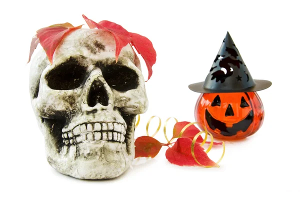 Halloween skull and pumpkin — Stock Photo, Image