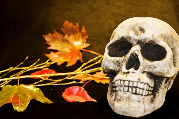 Uhyggelig halloween kranium - Stock-foto