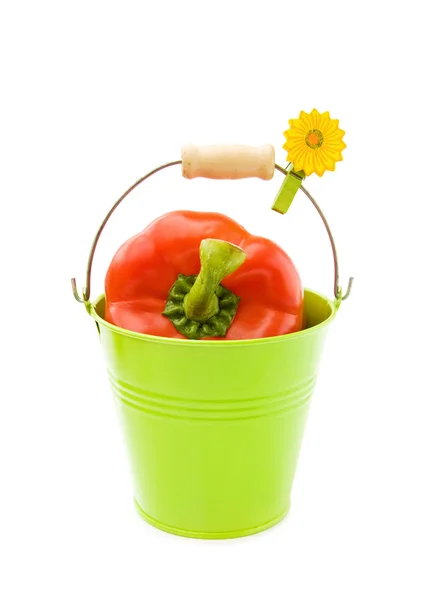 Red pepper in green bucket — Stock Photo, Image