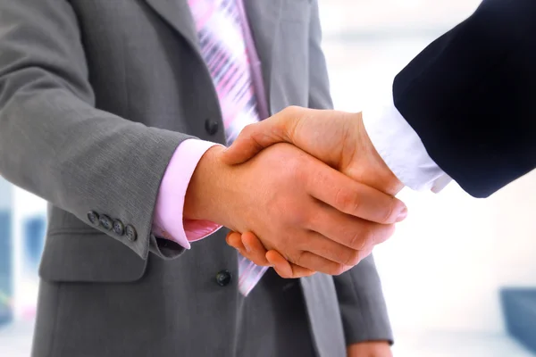 Parceiros de negócios handshaking Fotografias De Stock Royalty-Free
