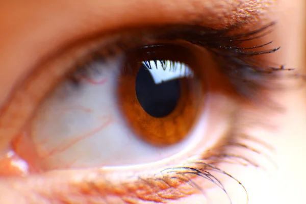 Beautiful hazel eye — Stock Photo, Image