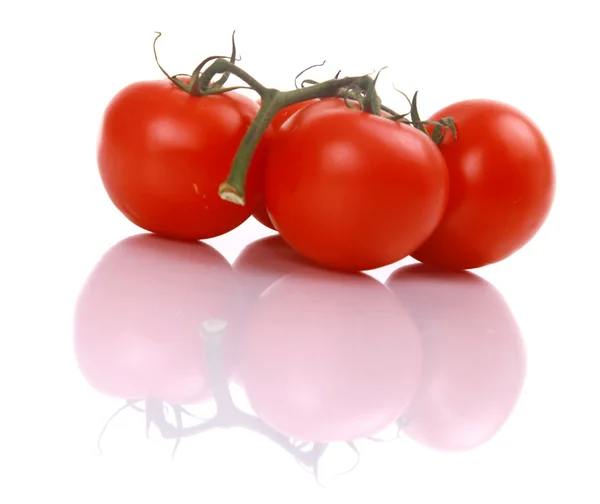 Tomaten angebaut — Stockfoto