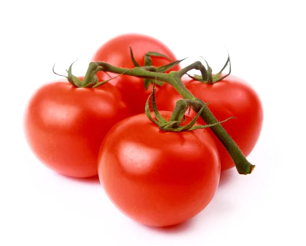 Casa tomates cultivados — Fotografia de Stock