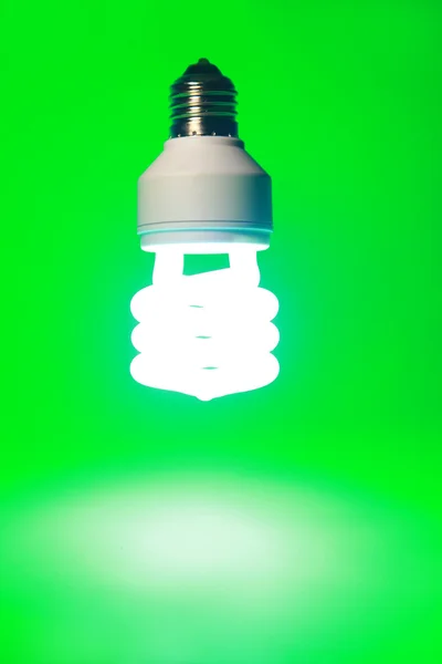 Лампочка на зеленом фоне — стоковое фото