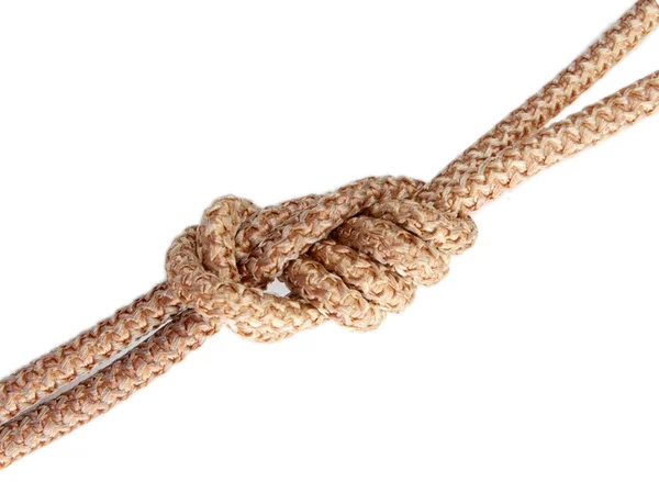 Rep knut isolerad på vit bakgrund — Stockfoto