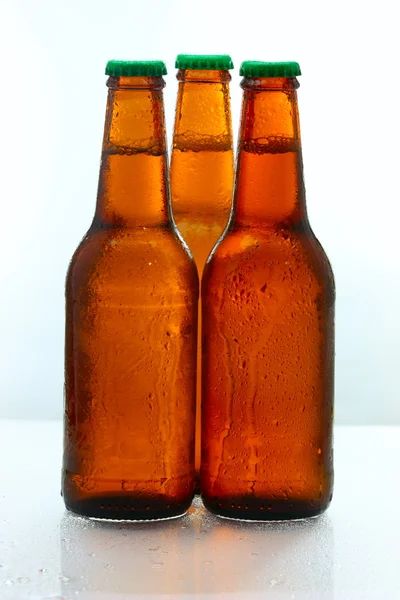 Bottles of Beer — Stock Photo, Image