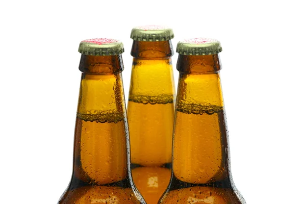 Bottles of Beer — Stock Photo, Image