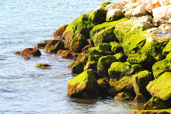 Stenar på en oceanen kusten — Stockfoto