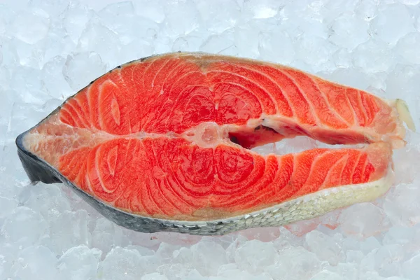 Fresh salmon steak on ice — Stock Photo, Image