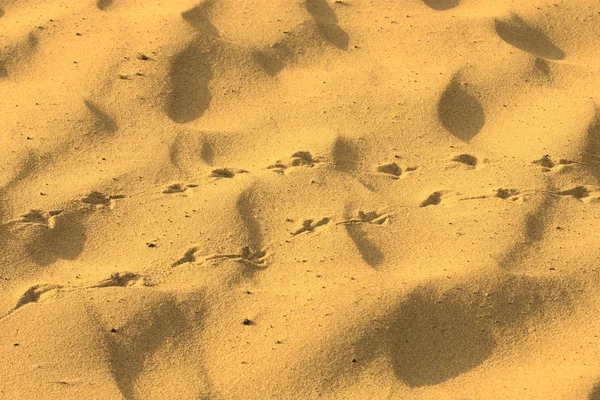 Piękno piasek wielki, jako tło — Zdjęcie stockowe
