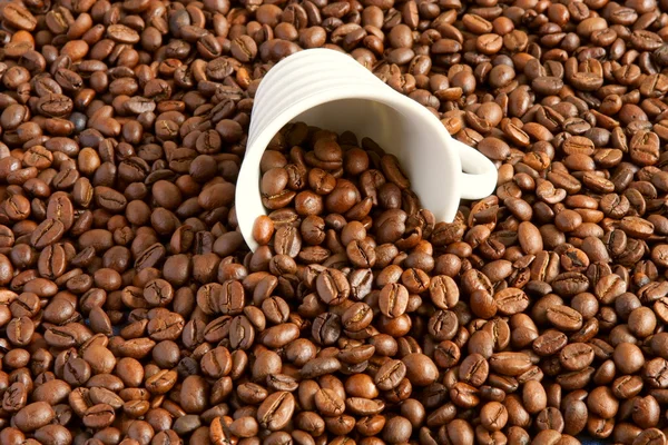 A cup filled with coffee beans — Stock Photo, Image