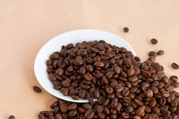 Coffee beans in white plate — Stock Photo, Image