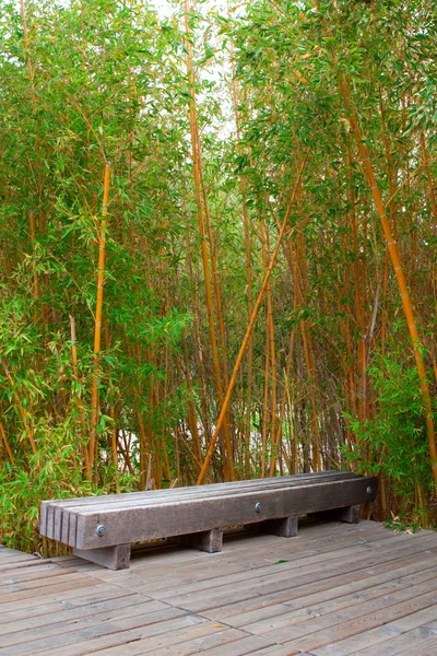 Bambusové lesy v parku — Stock fotografie