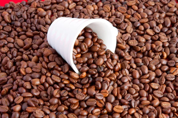 A cup filled with coffee beans — Stock Photo, Image