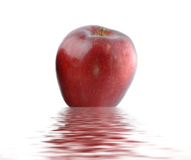 Wet juicy red apple over water. Isolate clipart