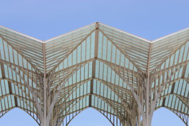 Modern roof structure, lisbon station clipart