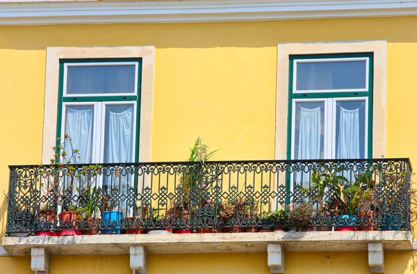 Två fönster på orange levande vägg — Stockfoto
