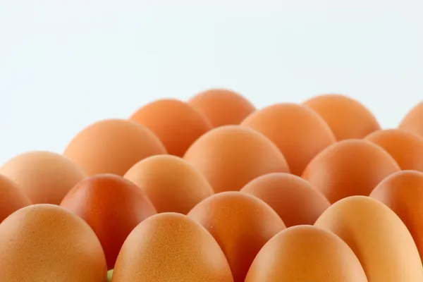 계란; 흰색 배경에 개체 — 스톡 사진
