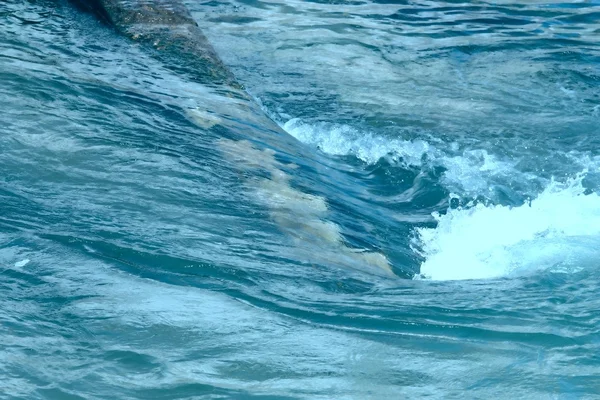 Surfowania morza — Zdjęcie stockowe