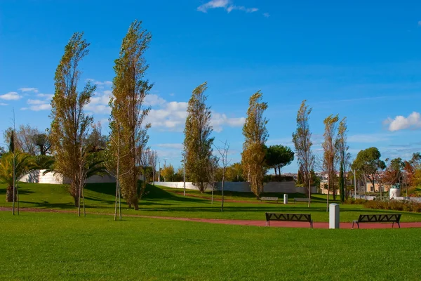 Um parque da cidade com árvores — Fotografia de Stock