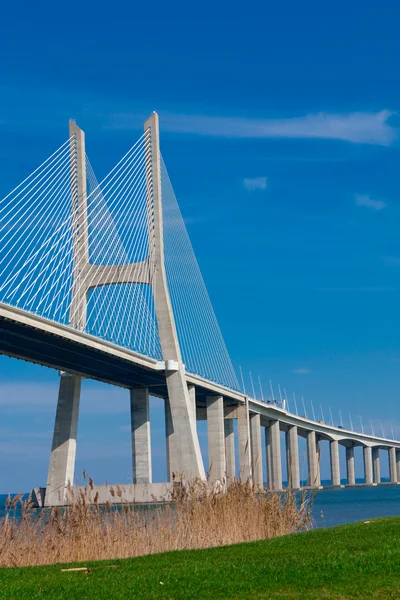 View of the Vasco da Gama bridge — Stock Photo, Image