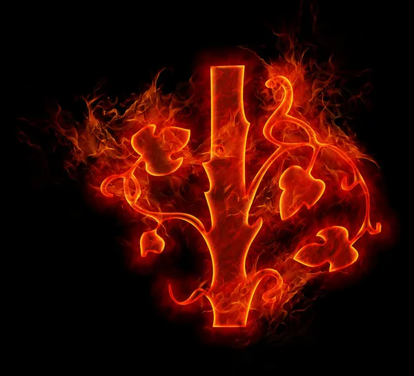 Fire flower isolated on black — Stock Photo, Image