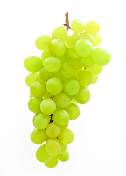 Egy csomó zöld szőlő — Stock Fotó
