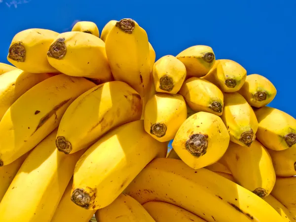 Νόστιμες, ώριμες μπανάνες — Φωτογραφία Αρχείου