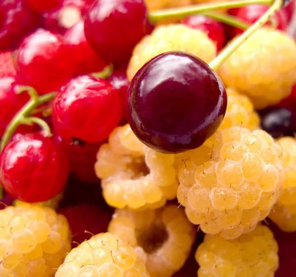 Вкусные ягоды — стоковое фото