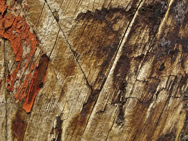 Grungy Wood Texture — Stock Photo, Image