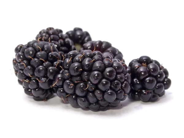 Сочные черные ягоды — стоковое фото