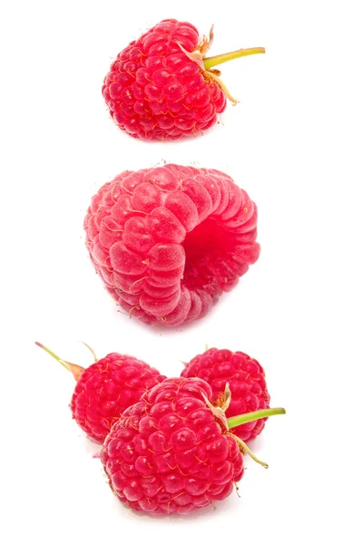 Set of Raspberries Isolated on White — Stock Photo, Image