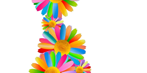 Colorful Chamomiles — Stock Photo, Image