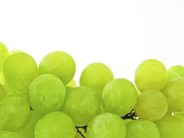 绿色的葡萄 — 图库照片