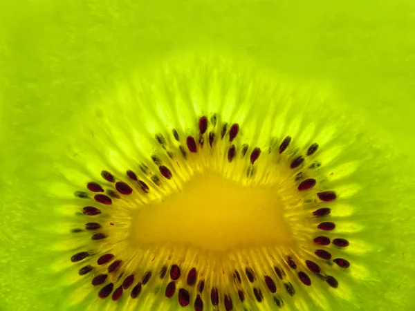 Fresh Kiwi — Zdjęcie stockowe