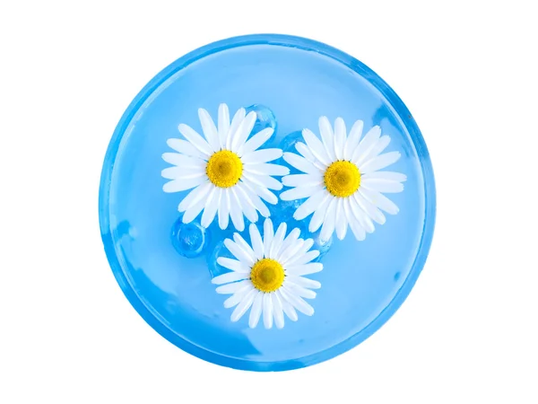 Floating Spa Flowers — Stock Photo, Image