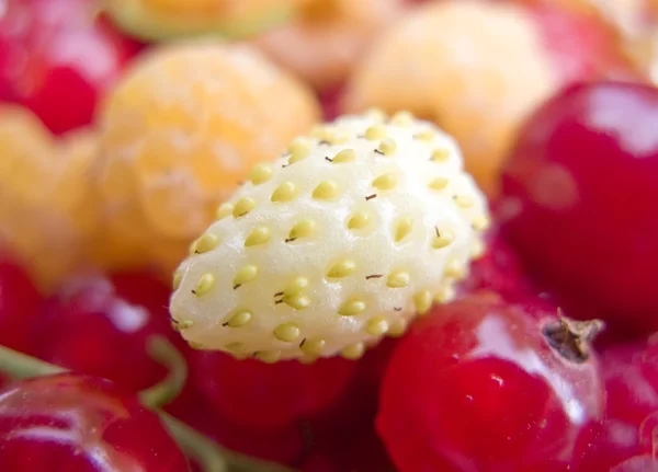 Вкусная ягодная смесь — стоковое фото