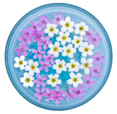 Blue Bowl With Floating Flowers clipart