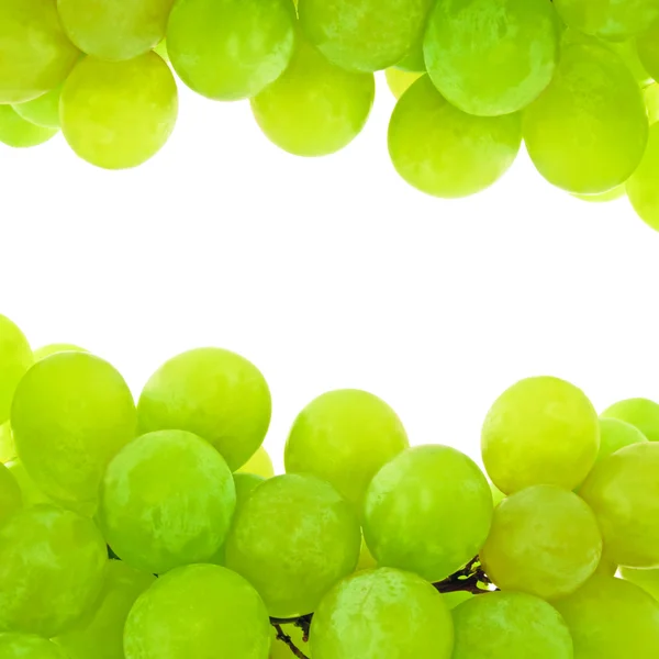 Groene druif achtergrond — Stockfoto