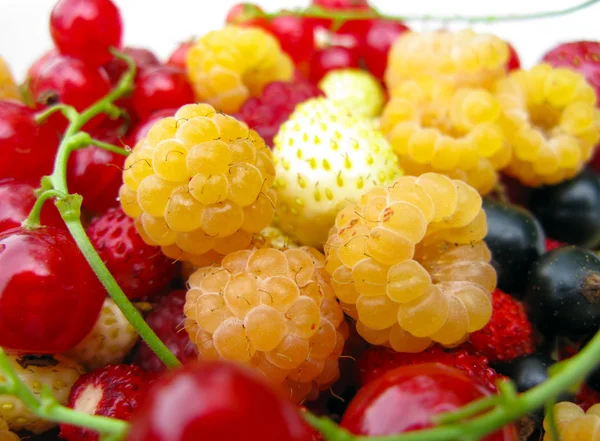 모듬된 신선한 딸기 — 스톡 사진