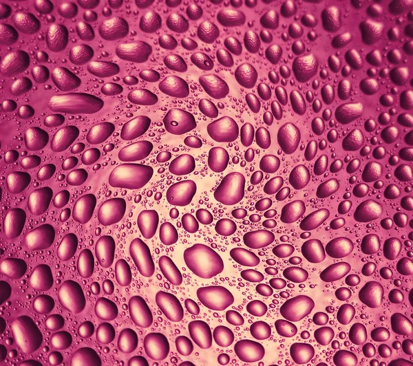 Gocce d'acqua rosa — Foto Stock