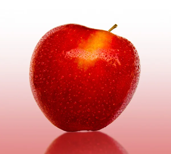 Moget rött äpple — Stockfoto