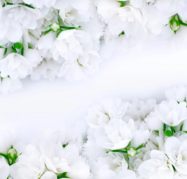 Bouquets da sposa — Foto Stock