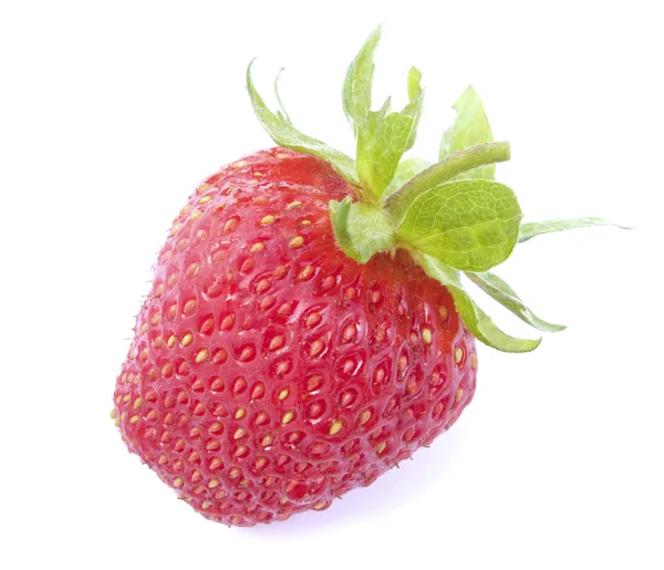 Rote Erdbeere — Stockfoto