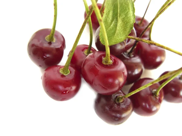 Juicy Cherries — Stock Photo, Image