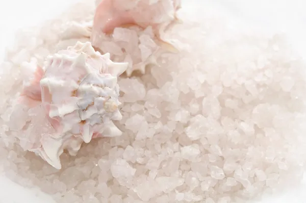 沐浴盐和贝壳 — 图库照片