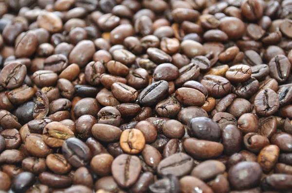 Coffee Beans — Stock Photo, Image