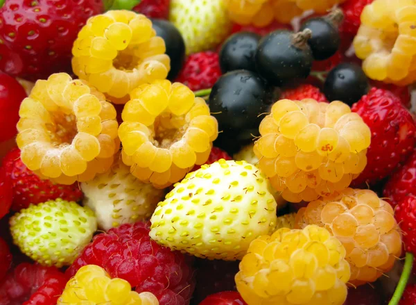 Lezzetli taze berry mix — Stok fotoğraf